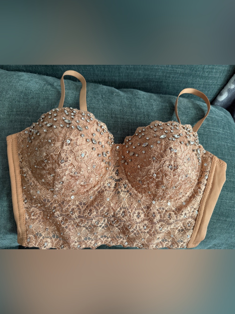 Embellished Lace Bustier Crop Top in Tan